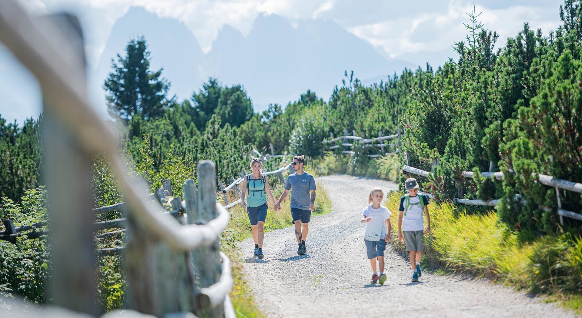 Südtiroler Frühling Blütezeit auf dem Apfel-Hochplateau Natz-Schabs