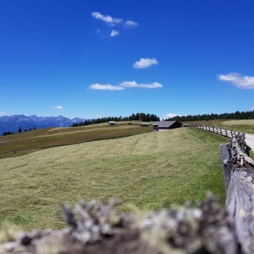 Impressions of the Waldharthof from Naz-Sciaves and surroundings