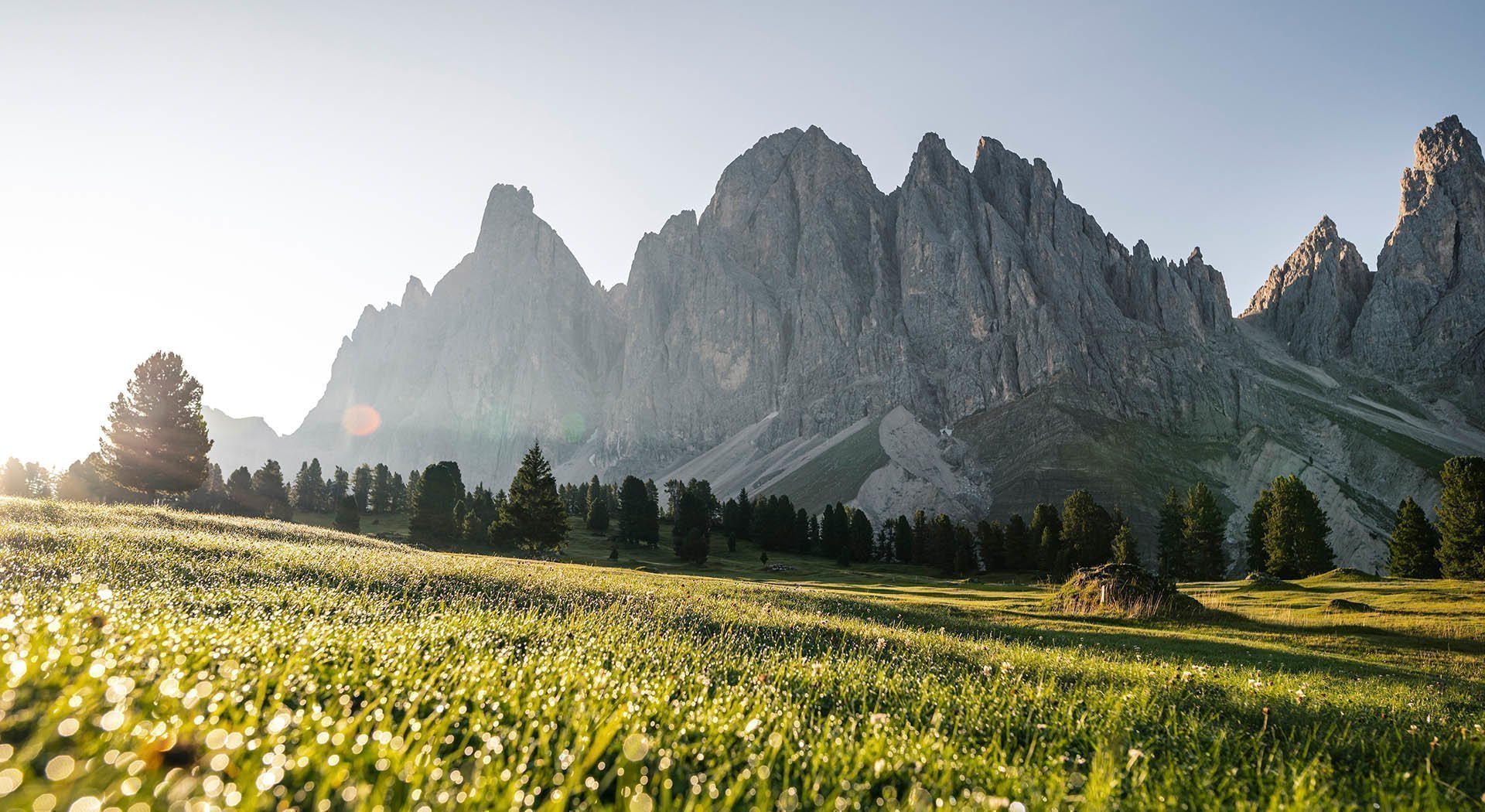 Lieblingsplätze am Waldharthof in Südtirol