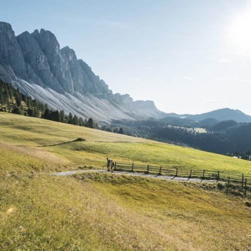 Active holiday: discover South Tyrol