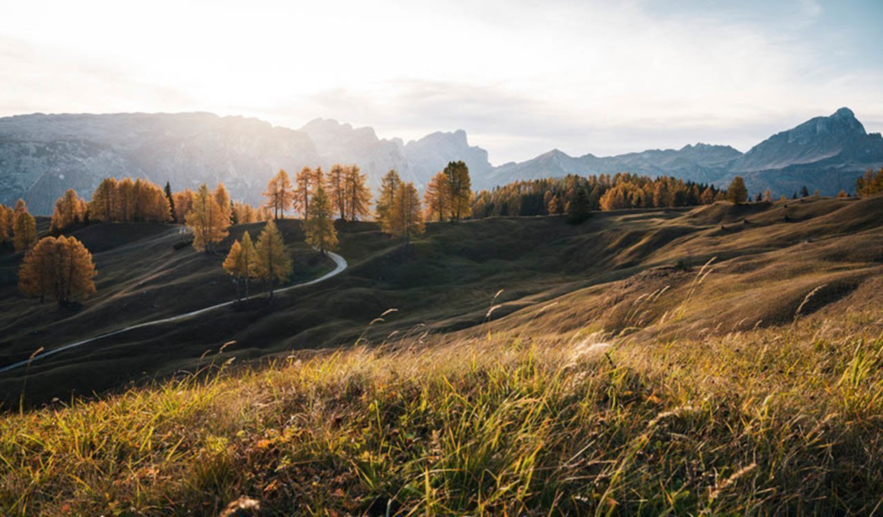 Erleben Sie die schönsten Seiten Südtirols